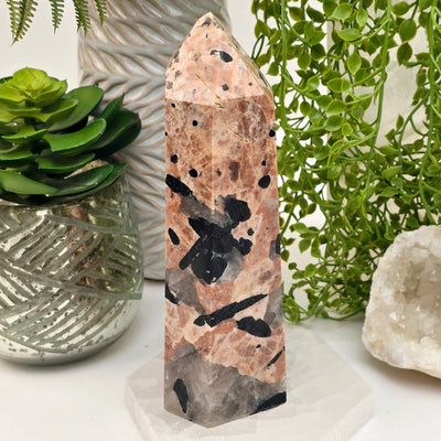 Black Tourmaline and Feldspar Polished Crystal Point - One-of-a-Kind side view