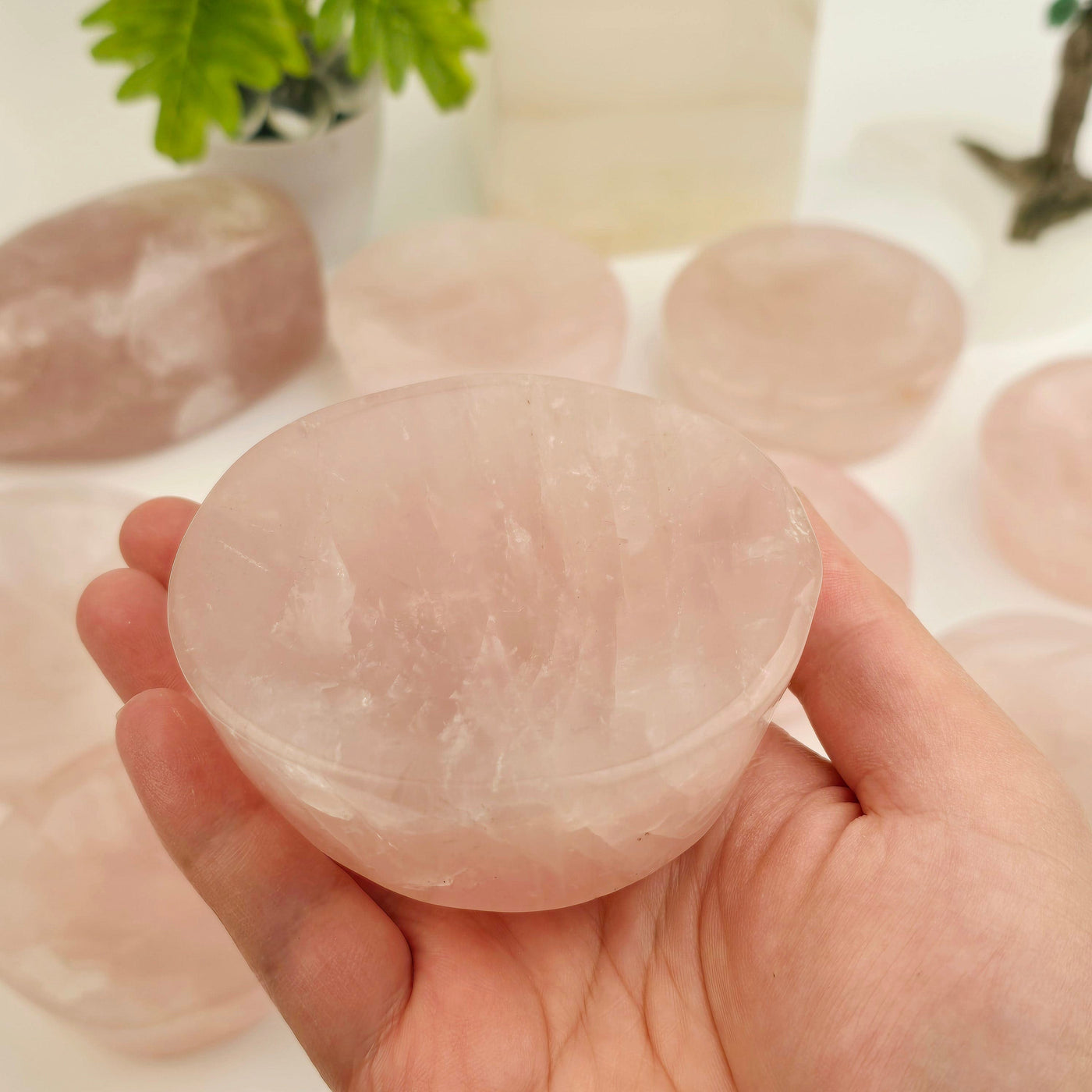 Rose Quartz Polished Crystal Dish - Shallow Stone Bowl - You Choose #1 one in hand for size reference with others in the background with props and plants