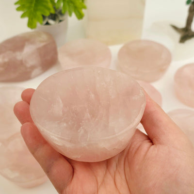 Rose Quartz Polished Crystal Dish - Shallow Stone Bowl - You Choose #1 one in hand for size reference with others in the background with props and plants