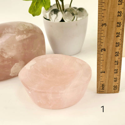 Rose Quartz Polished Crystal Dish - Shallow Stone Bowl - You Choose #1 variant 1 labeled with ruler for size reference