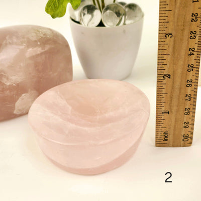Rose Quartz Polished Crystal Dish - Shallow Stone Bowl - You Choose #1 variant 2 labeled with ruler for size reference