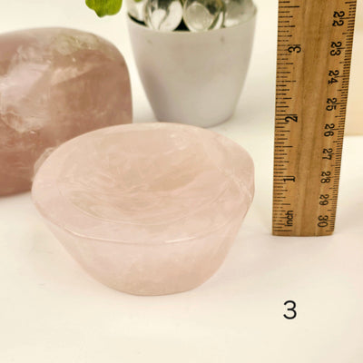 Rose Quartz Polished Crystal Dish - Shallow Stone Bowl - You Choose #1 variant 3 labeled with ruler for size reference
