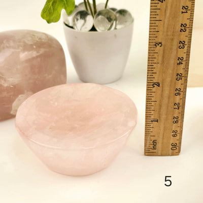 Rose Quartz Polished Crystal Dish - Shallow Stone Bowl - You Choose #1 variant 5 labeled with ruler for size reference