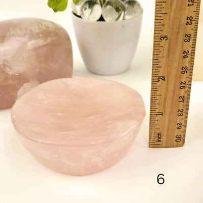 Rose Quartz Polished Crystal Dish - Shallow Stone Bowl - You Choose #1 variant 6 labeled with ruler for size reference