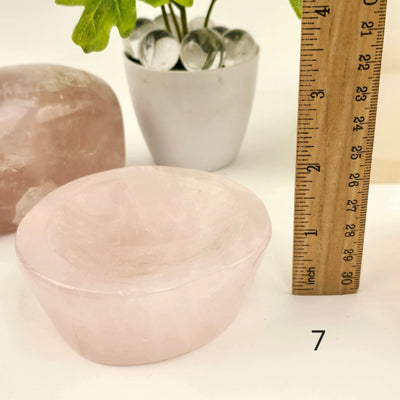 Rose Quartz Polished Crystal Dish - Shallow Stone Bowl - You Choose #1 variant 7 labeled with ruler for size reference