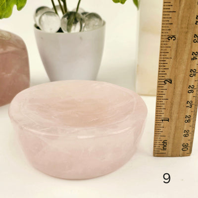 Rose Quartz Polished Crystal Dish - Shallow Stone Bowl - You Choose #1 variant 9 labeled with ruler for size reference