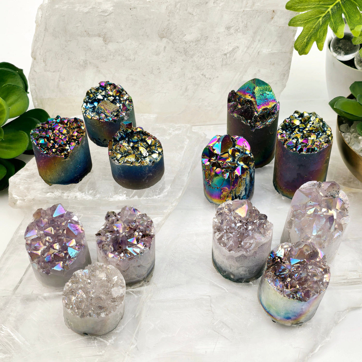 Amethyst Crystal Cluster Cylinder - Titanium Coated or Angel Aura - By Weight - You Choose Finish all four variants with props and plants in the background