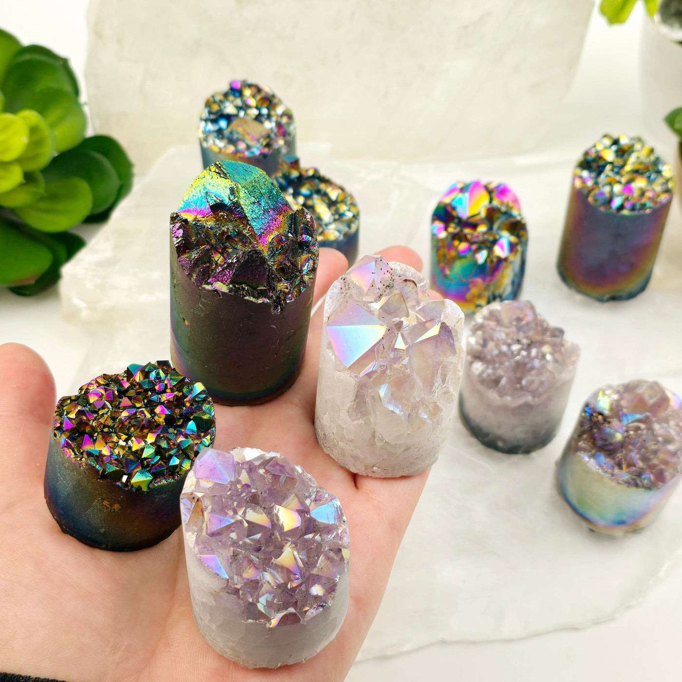 Amethyst Crystal Cluster Cylinder - Titanium Coated or Angel Aura - By Weight - You Choose Finish all four variants in hand with others in the background with props and plants