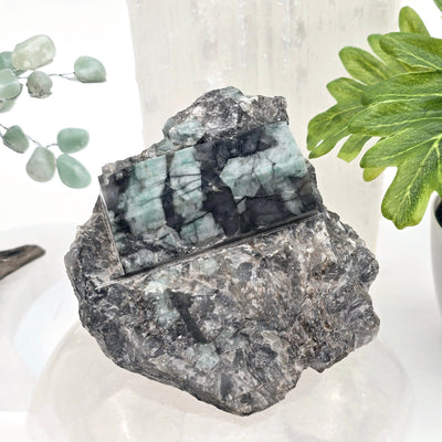 Emerald Semi Polished Beryl Crystal Cut Base - One-of-a-Kind - front view with props and plants in the background