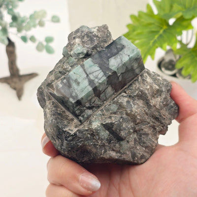 Emerald Semi Polished Beryl Crystal Cut Base - One-of-a-Kind in hand for size reference