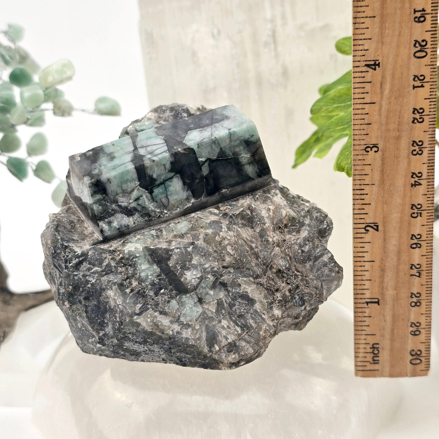 Emerald Semi Polished Beryl Crystal Cut Base - One-of-a-Kind with ruler for size reference