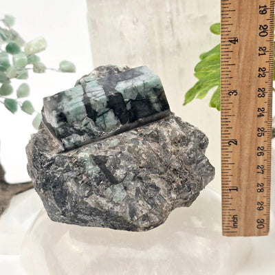 Emerald Semi Polished Beryl Crystal Cut Base - One-of-a-Kind with ruler for size reference