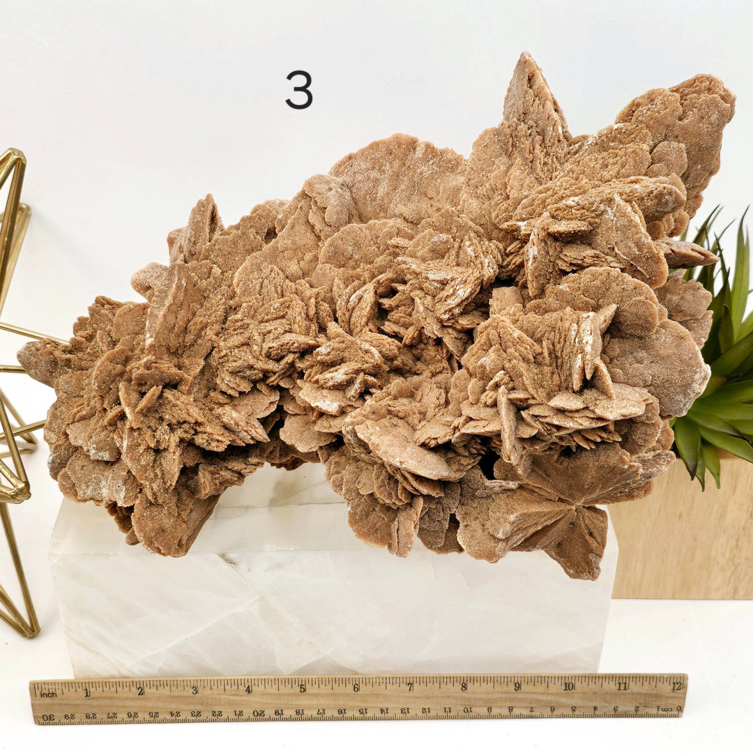 Desert Rose - Sand Rose Crystal Cluster from Morocco - You Choose