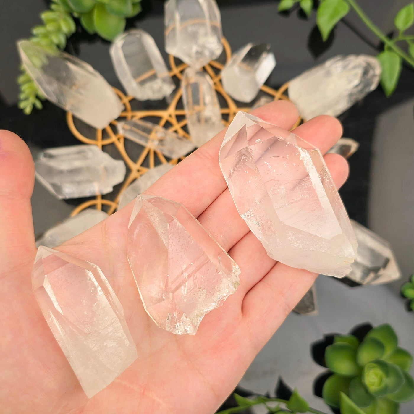 Crystal Quartz High Grade Points - By Weight all weight variants in hand for size reference with crystal grid in the background with plants
