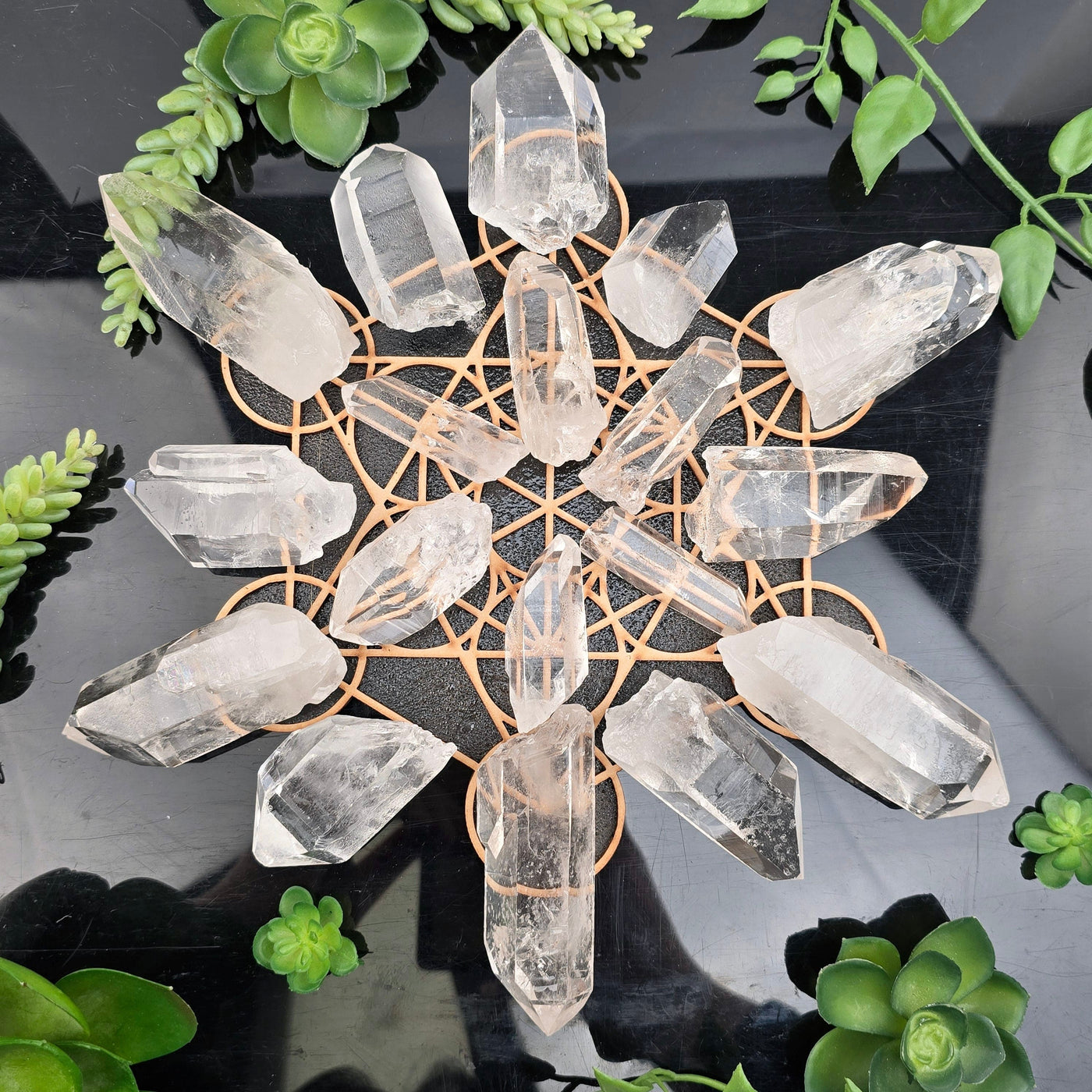 Crystal Quartz High Grade Points - By Weight crystal grid top view all weight variants arranged with plants on a dark background