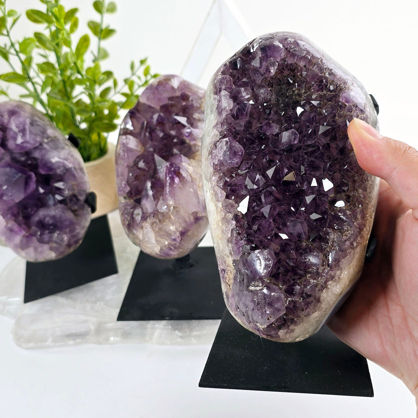 Amethyst Crystal Cluster on Metal Stand from Uruguay - You Choose #2 variant 3 in hand with other variants in background with props and plants