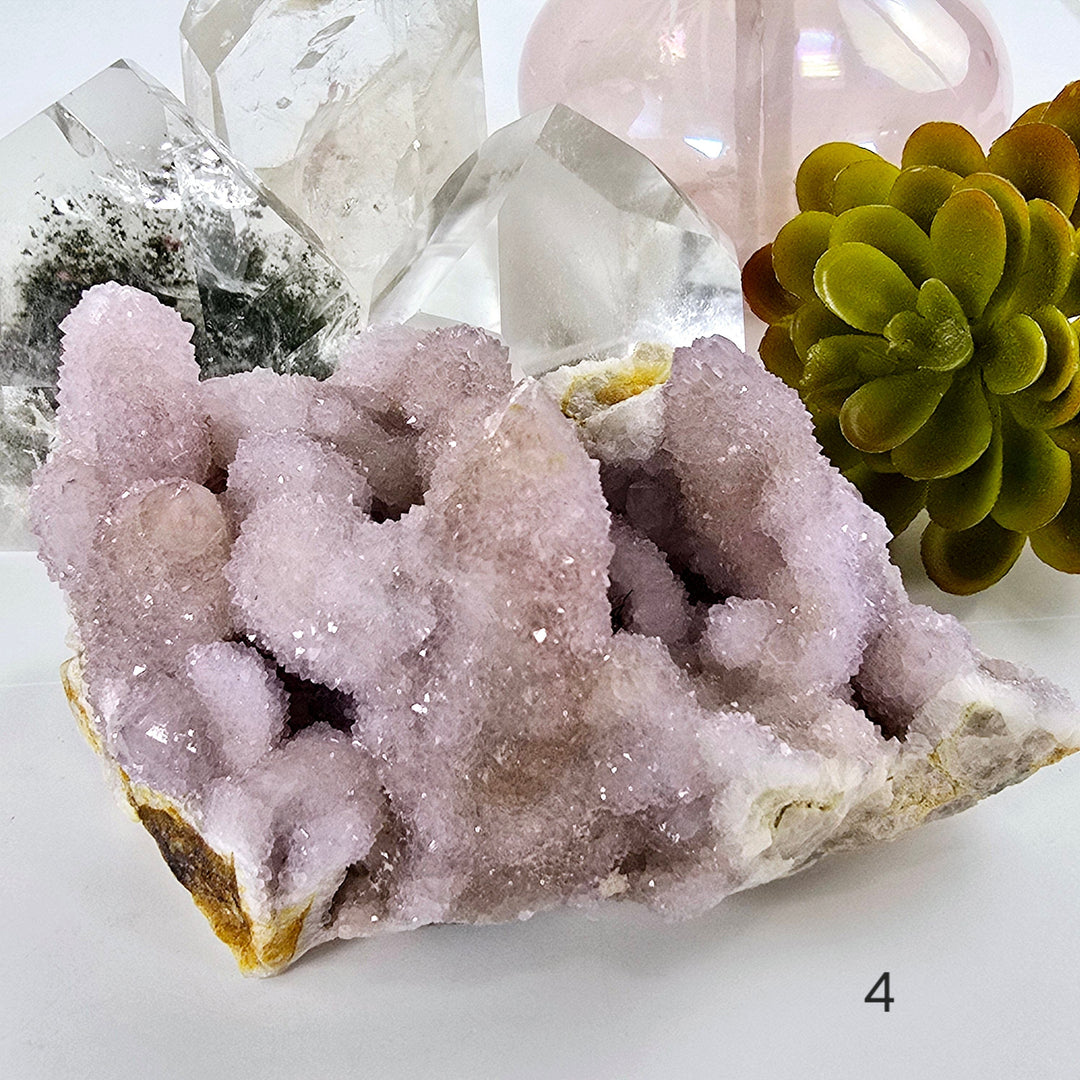 Cactus Amethyst from South Africa - Spirit Amethyst Crystal Cluster