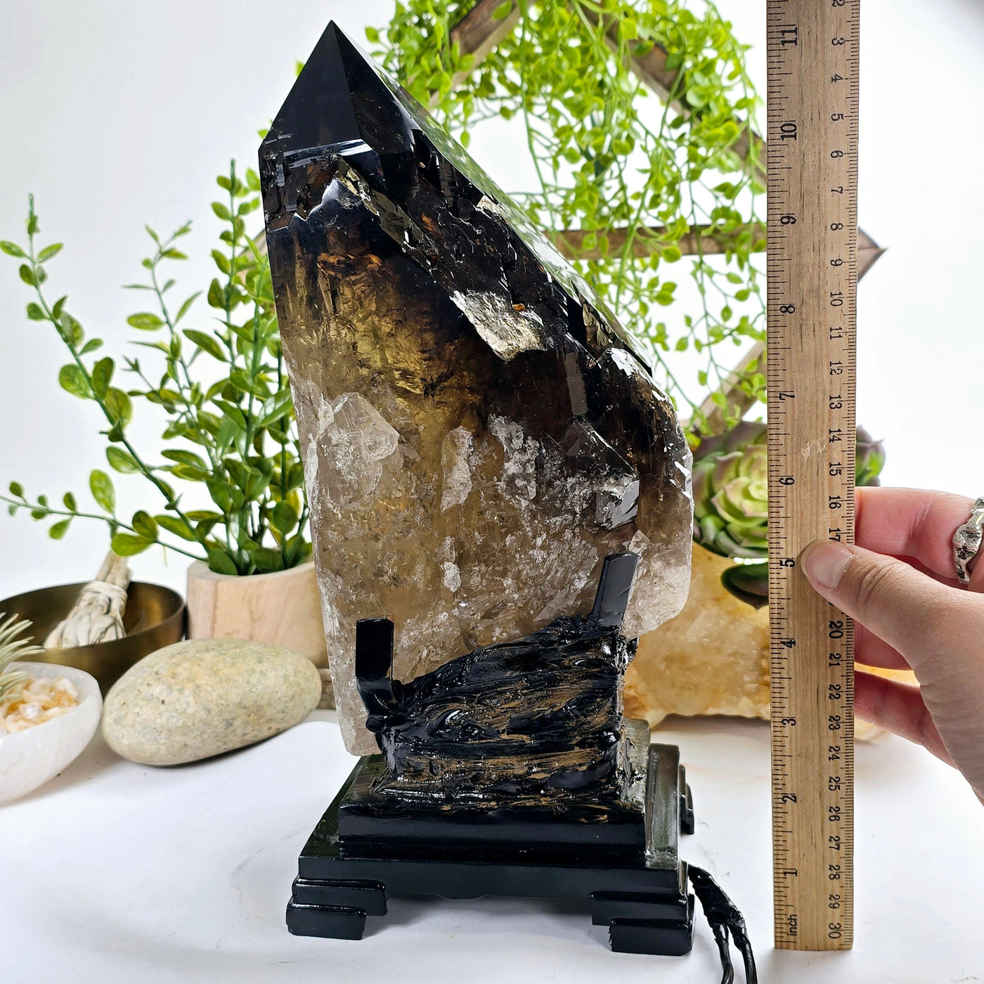 Natural Smokey Citrine Large Polished Crystal Point with Lamp on Stand - One-of-a-Kind #1 with ruler and hand for size reference
