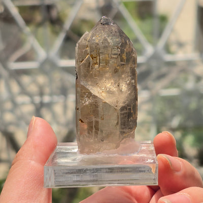 Natural Citrine Lemurian Crystal Point with Black Tourmaline on Acrylic Base - One-of-a-Kind in front of window in hand for size reference