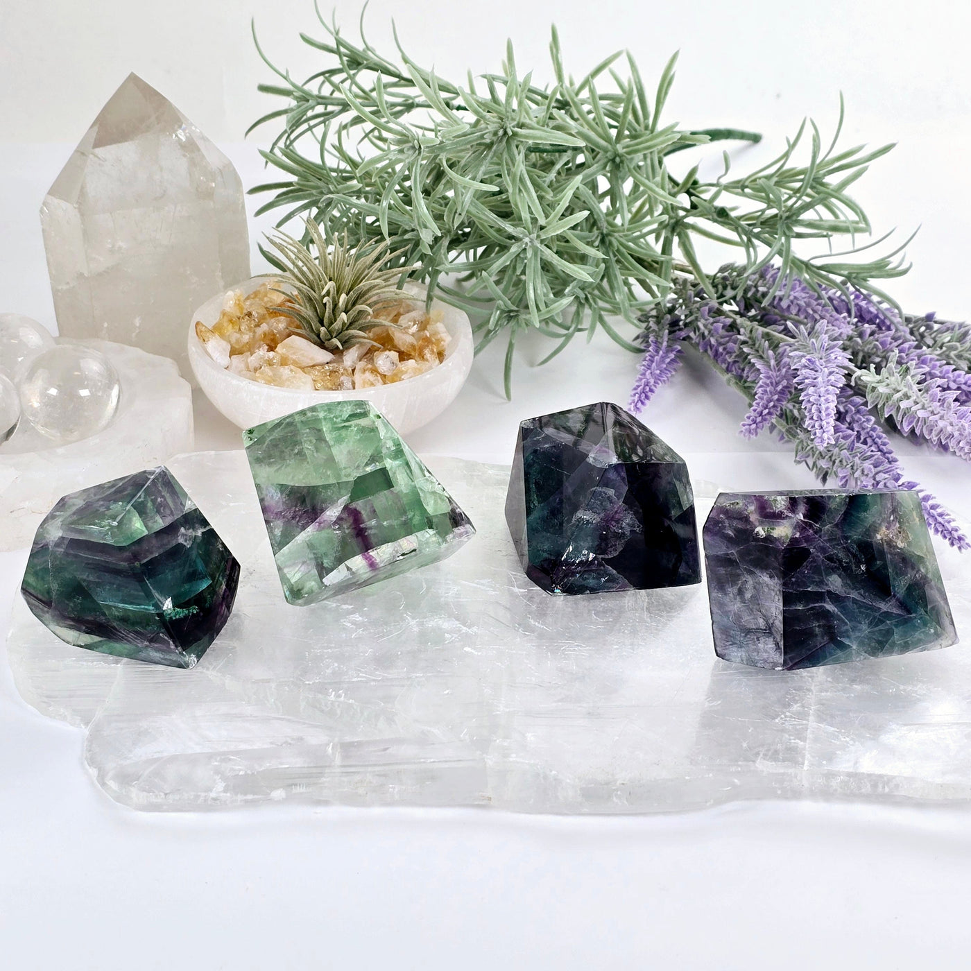 Rainbow Fluorite AA Grade Polished Crystal Freeform - You Choose all variants front view with plants and props in the background