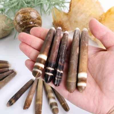 Sea Urchin Spine Beads - Side-Drilled - Set of 5 - Bulk Deal in hand for size reference with props and plants in the background