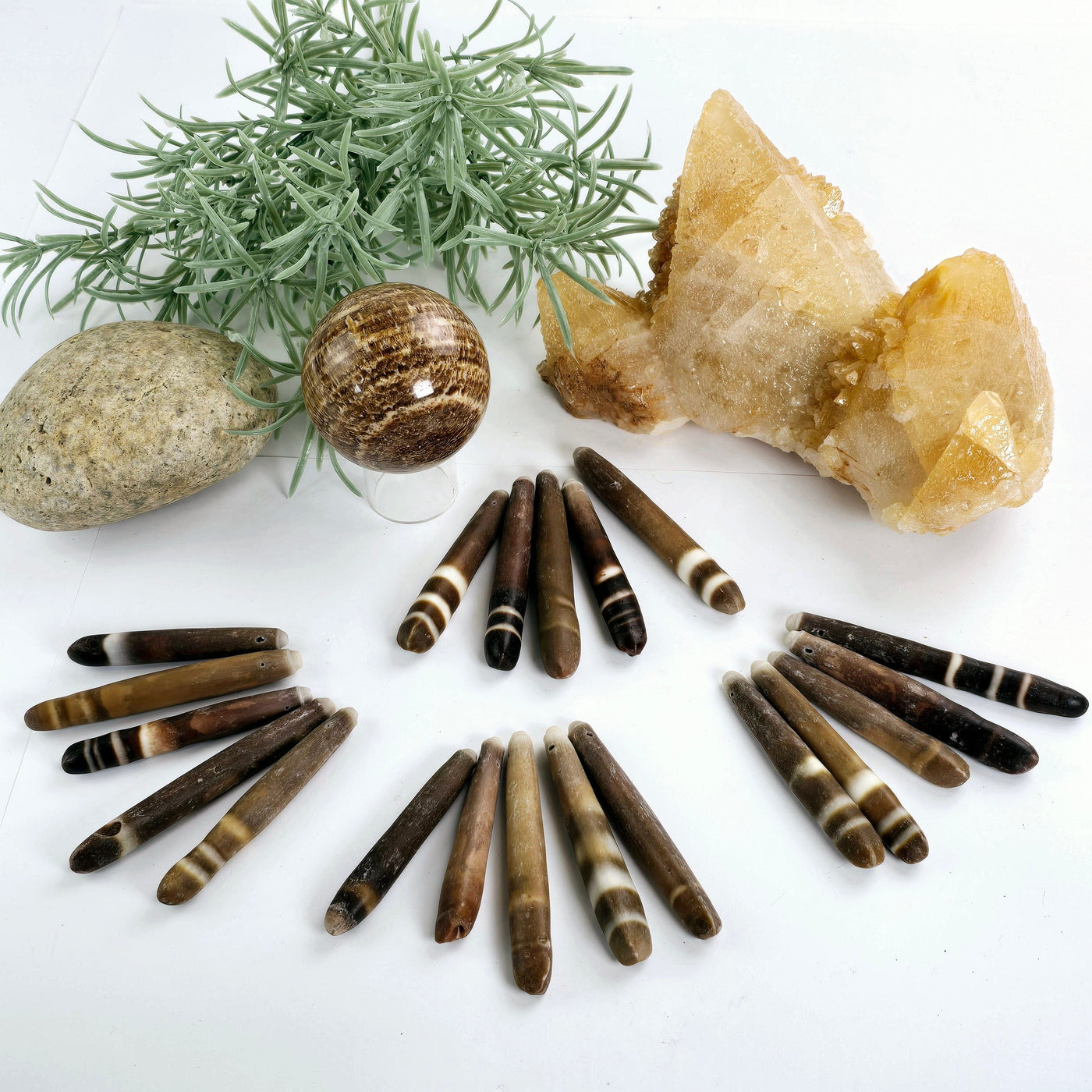 Sea Urchin Spine Beads - Side-Drilled - Set of 5 - Bulk Deal four different sets of five sea urchin spines arranged in fan shape near plants and props