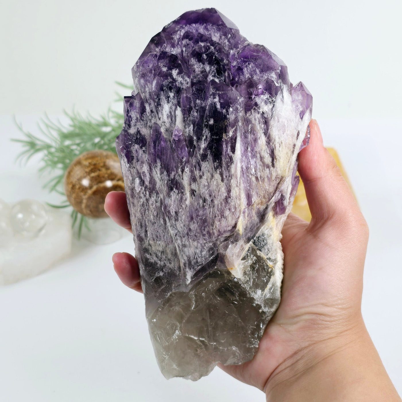 Elestial Amethyst Crystal Cluster #2 - in hand for size reference with props and plants in the background