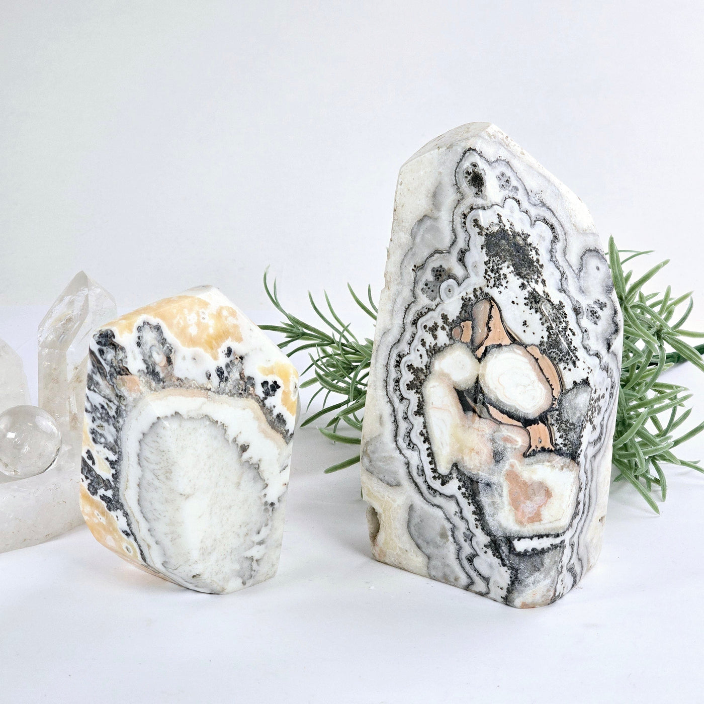 Caramel Calcite Polished Freeform Crystal Cut Base - You Choose both variants with props and plants