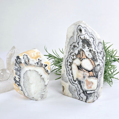 Caramel Calcite Polished Freeform Crystal Cut Base - You Choose both variants with props and plants