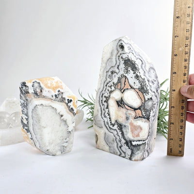 Caramel Calcite Polished Freeform Crystal Cut Base - You Choose both variants with ruler for size reference