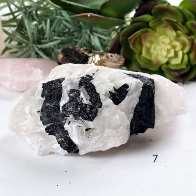 Black Tourmaline on Rose Quartz Crystal Matrix Rare Find - You Choose #1 variant 7 labeled