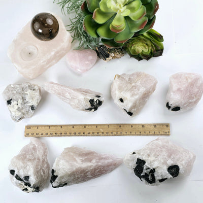 Black Tourmaline on Rose Quartz Crystal Matrix Rare Find - You Choose #1 all variants with ruler for size reference