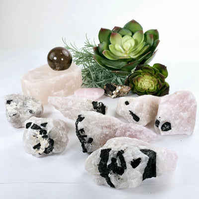 Black Tourmaline on Rose Quartz Crystal Matrix Rare Find - You Choose #1 all variants with props and plants