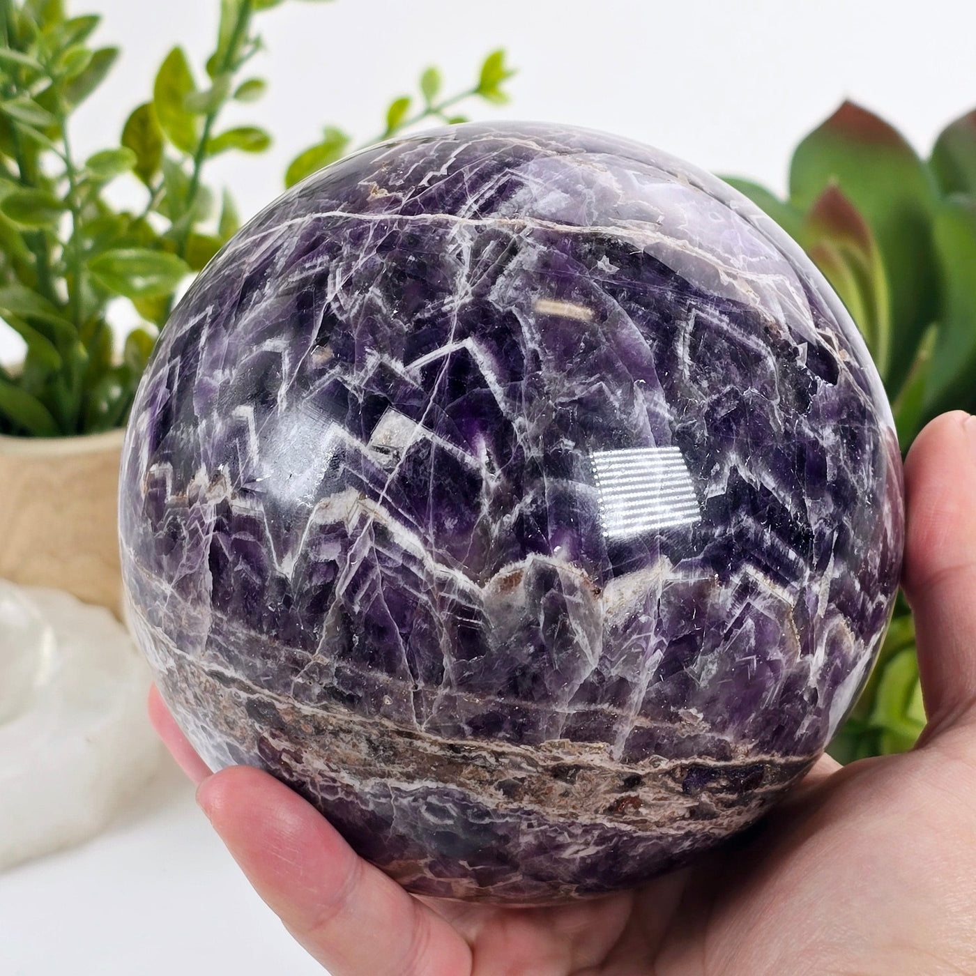Chevron Amethyst Crystal Sphere One-of-a-Kind #1 in hand for size reference with plants and props in the background