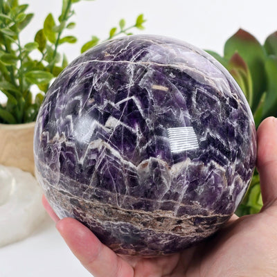 Chevron Amethyst Crystal Sphere One-of-a-Kind #1 in hand for size reference with plants and props in the background