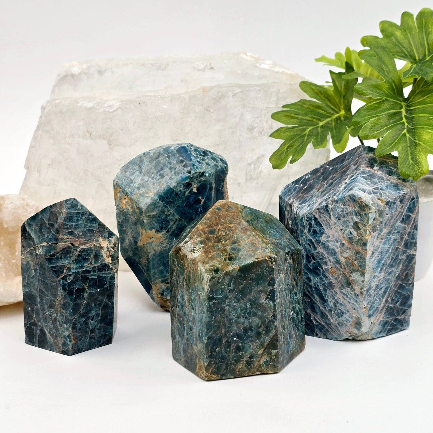 Apatite Polished Point Crystal Cut Base - You Choose all variants with props and plants