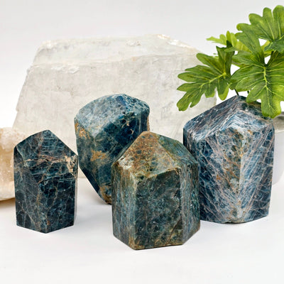 Apatite Polished Point Crystal Cut Base - You Choose all variants with props and plants