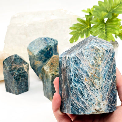 Apatite Polished Point Crystal Cut Base - You Choose variant 4 in hand for size reference with other variants in the background with props and plants