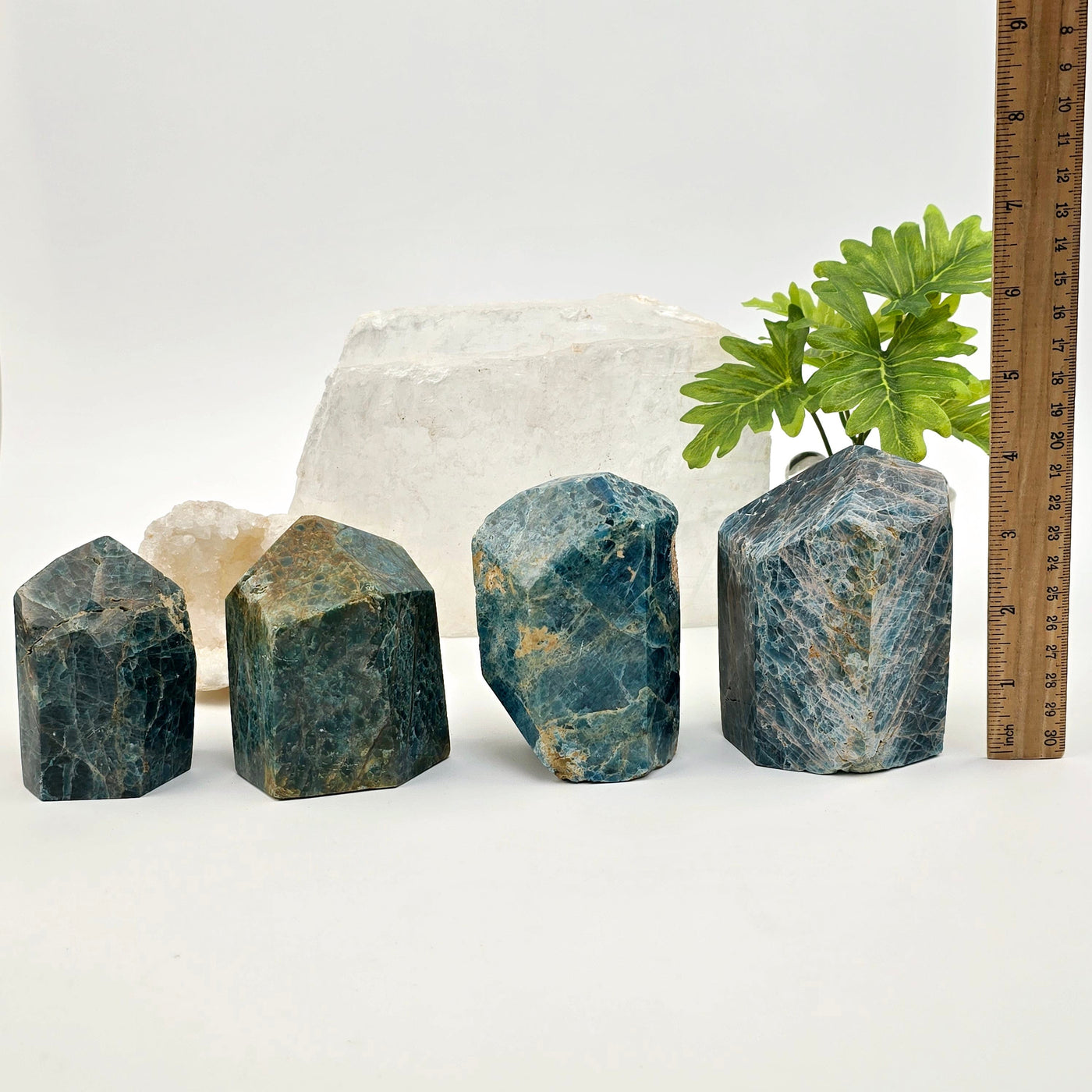 Apatite Polished Point Crystal Cut Base - You Choose all four variants with ruler for size reference