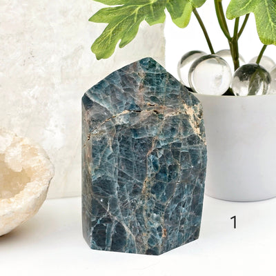 Apatite Polished Point Crystal Cut Base - You Choose variant 1 labeled