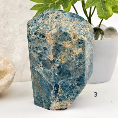 Apatite Polished Point Crystal Cut Base - You Choose variant 3 labeled