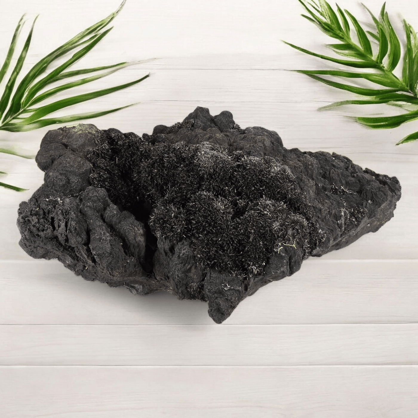 Franckeite with Zinkenite Mineral Specimen from Morocco - Rare Find #1 on wood with plants in the background