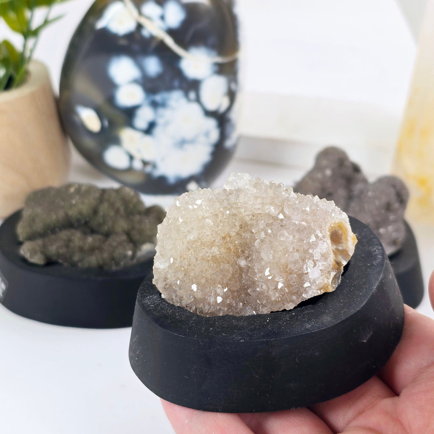 Gray Amethyst Druzy Pine Crystal Cluster on Wooden Base from Uruguay - You Choose variant 1 in hand for size reference with other variants in the background with props and plants