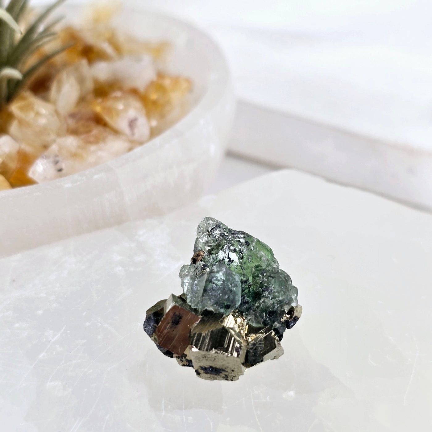 Green Fluorite with Cubic Pyrite Crystal Specimen from Peru - Rare Find - One-of-a-Kind back view