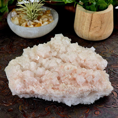 Pink Halite Unique Formation from California #2 front view with props and plants 