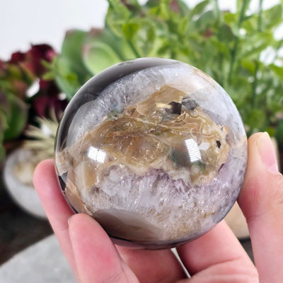 Volcano Agate Amethyst Sphere - One-of-a-Kind in hand for size reference with props and plants