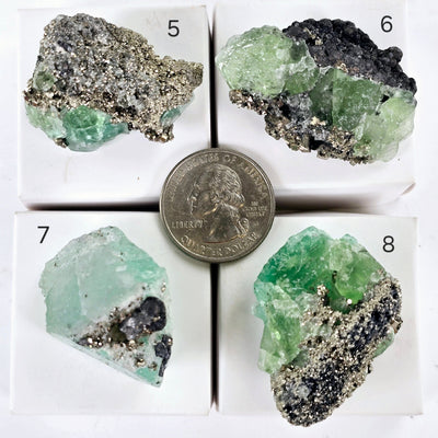 Fluorite with Pyrite Crystal Specimen from Peru - Rare Find - You Choose #1 variants 5, 6, 7, and 8 labeled with quarter for size reference