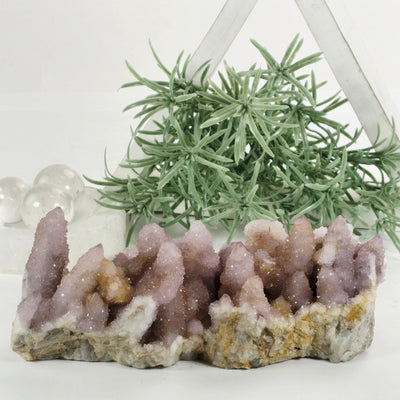 Cactus Amethyst from South Africa - Spirit Amethyst Crystal Cluster - One-of-a-Kind front view