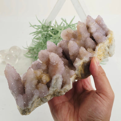 Cactus Amethyst from South Africa - Spirit Amethyst Crystal Cluster - One-of-a-Kind - in hand for size reference