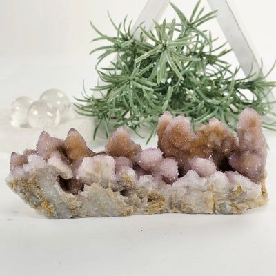 Cactus Amethyst from South Africa - Spirit Amethyst Crystal Cluster - One-of-a-Kind back view